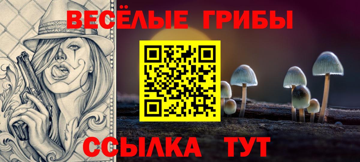 Галлюциногенные грибы Psilocybe  Вход с VPN  Грязи  Галлюциногенные грибы Magic Shrooms 